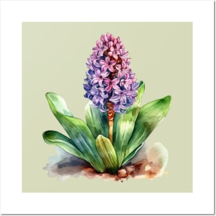 Stunning Hyacinth Posters and Art